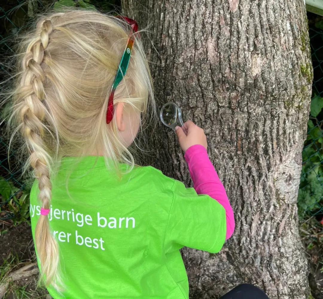 a little girl is looking through a magnifying glass at a tree trunk .