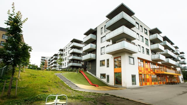 Picture of the author