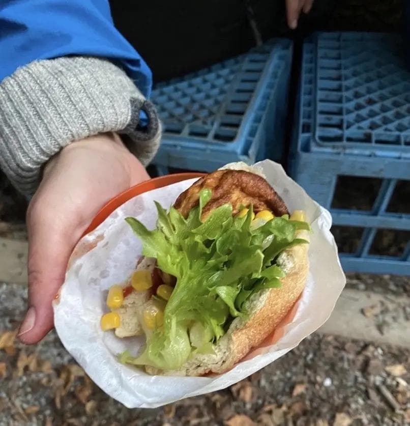 a person is holding a sandwich in a paper cup .